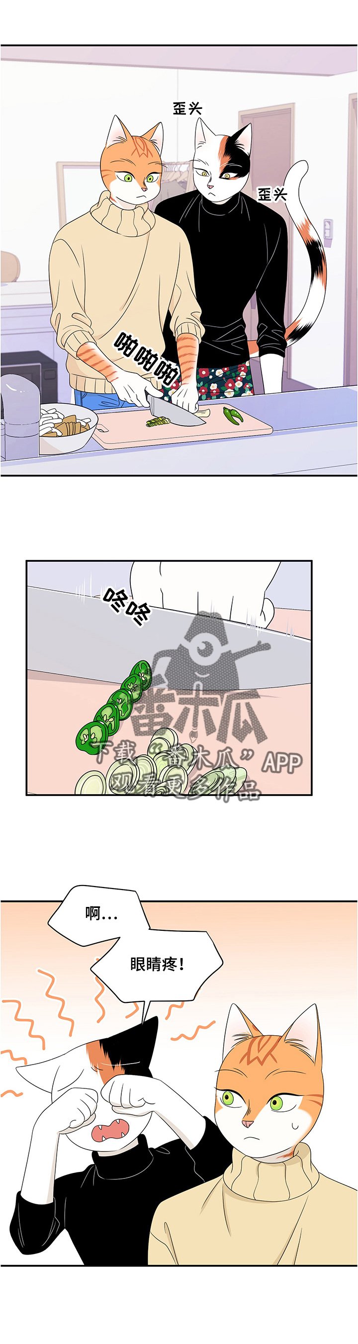 第10章：期待