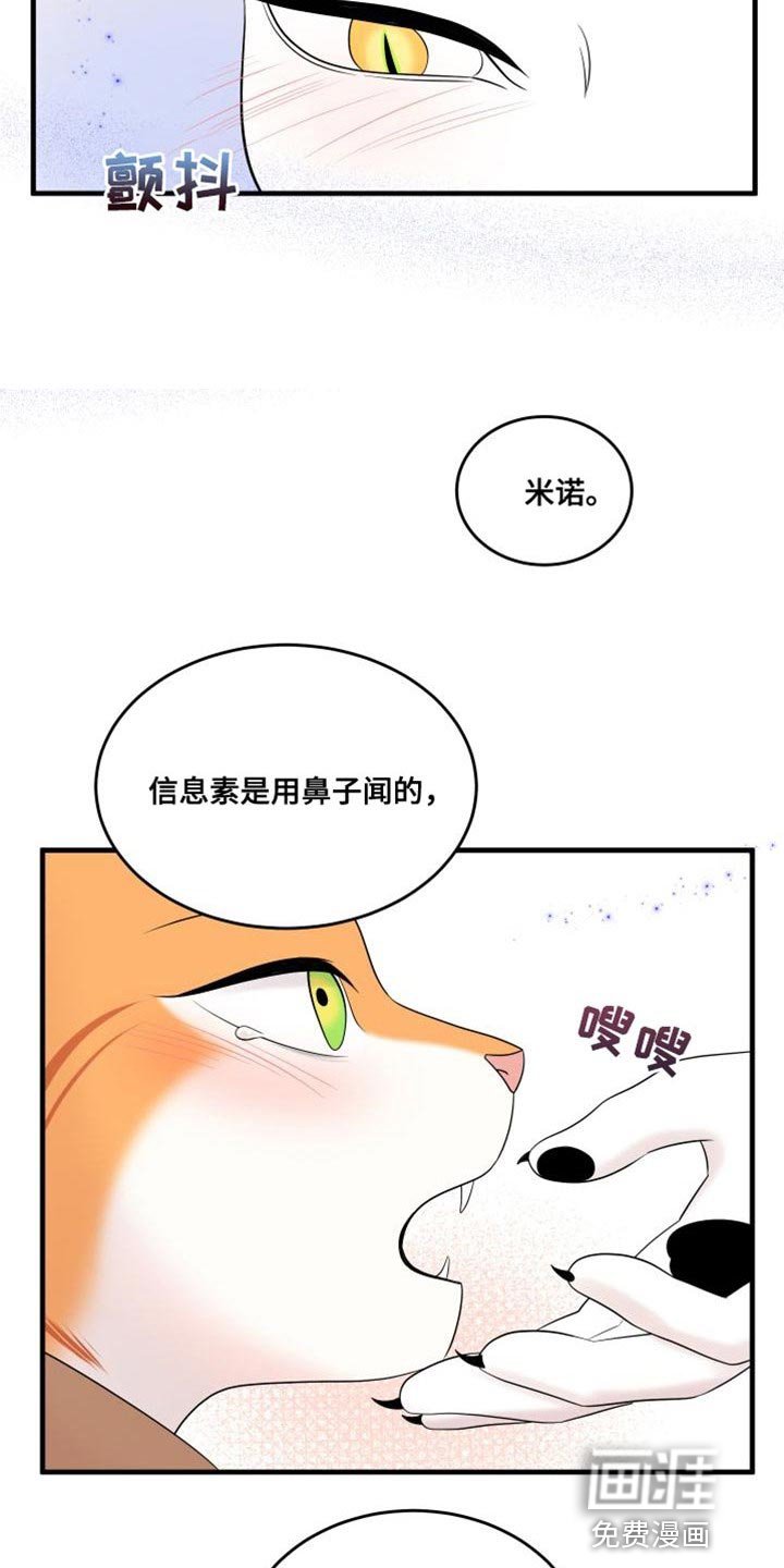 第101章：【第二季】更重要的事