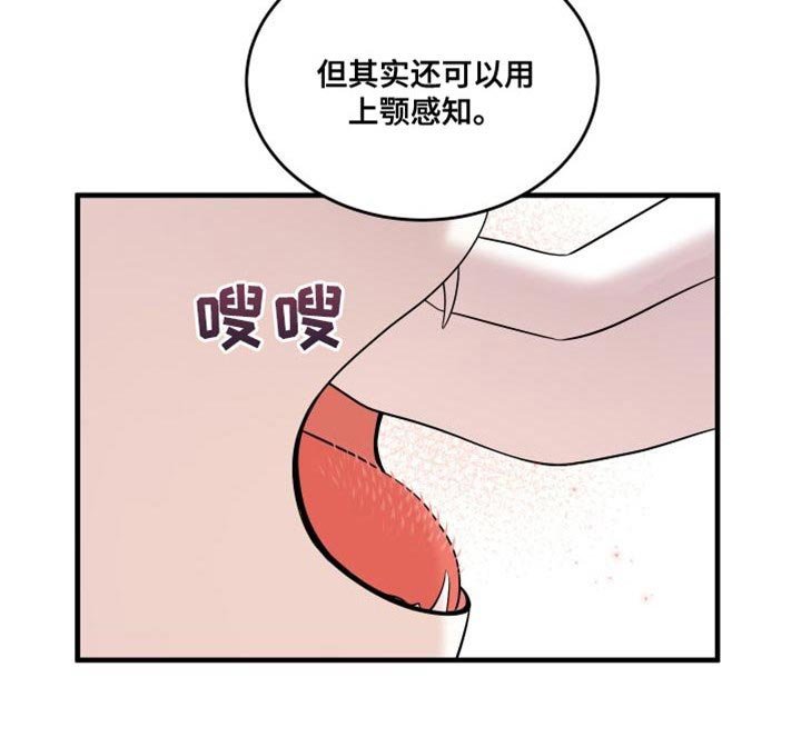 第101章：【第二季】更重要的事