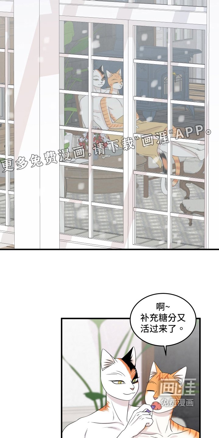 第102章：【第二季】求婚