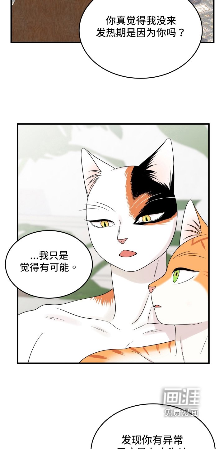 第102章：【第二季】求婚