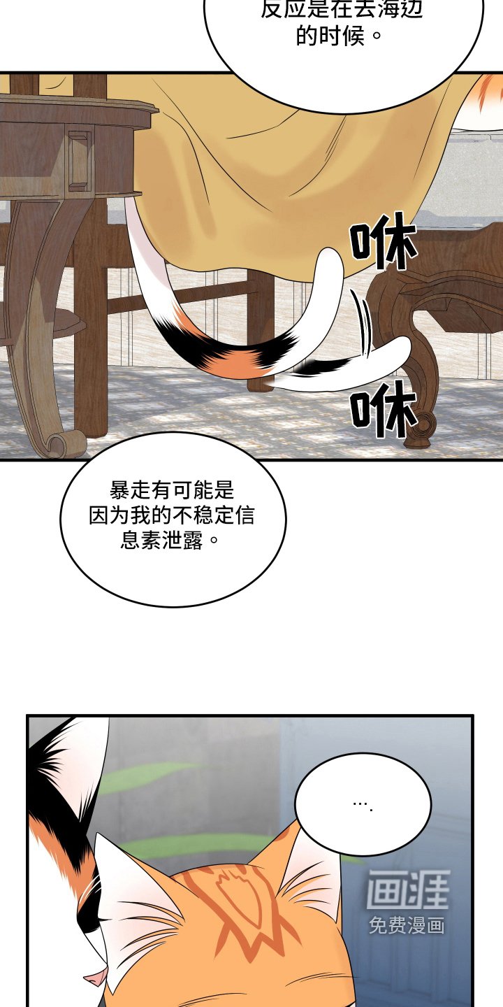 第102章：【第二季】求婚