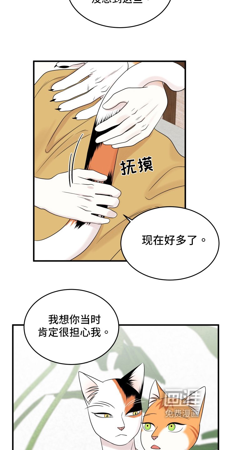 第102章：【第二季】求婚