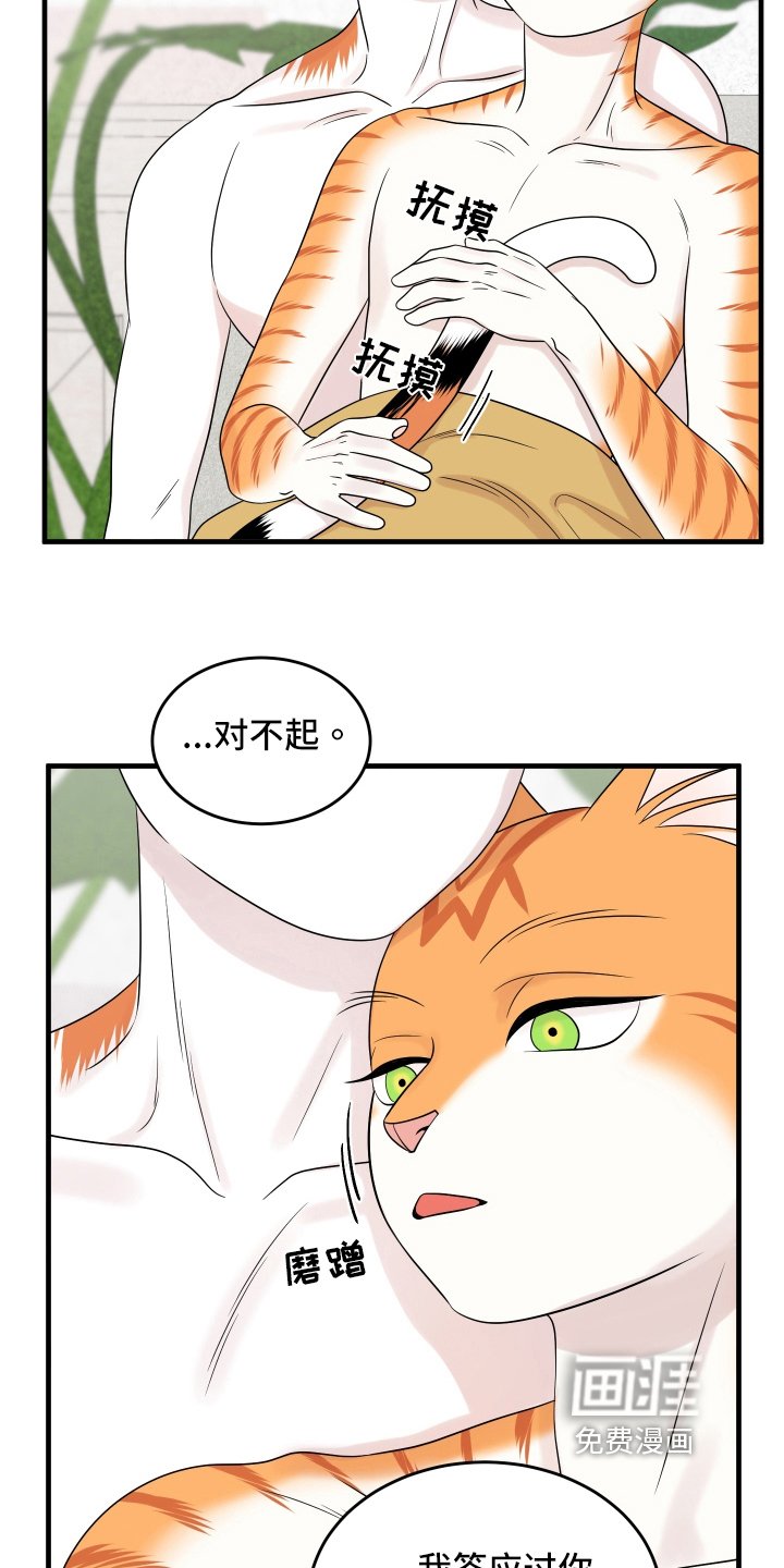 第102章：【第二季】求婚