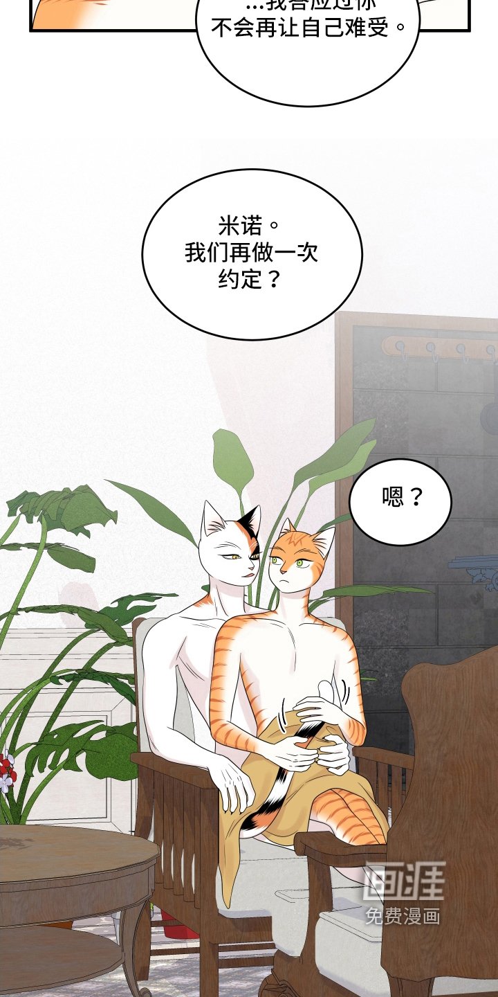 第102章：【第二季】求婚