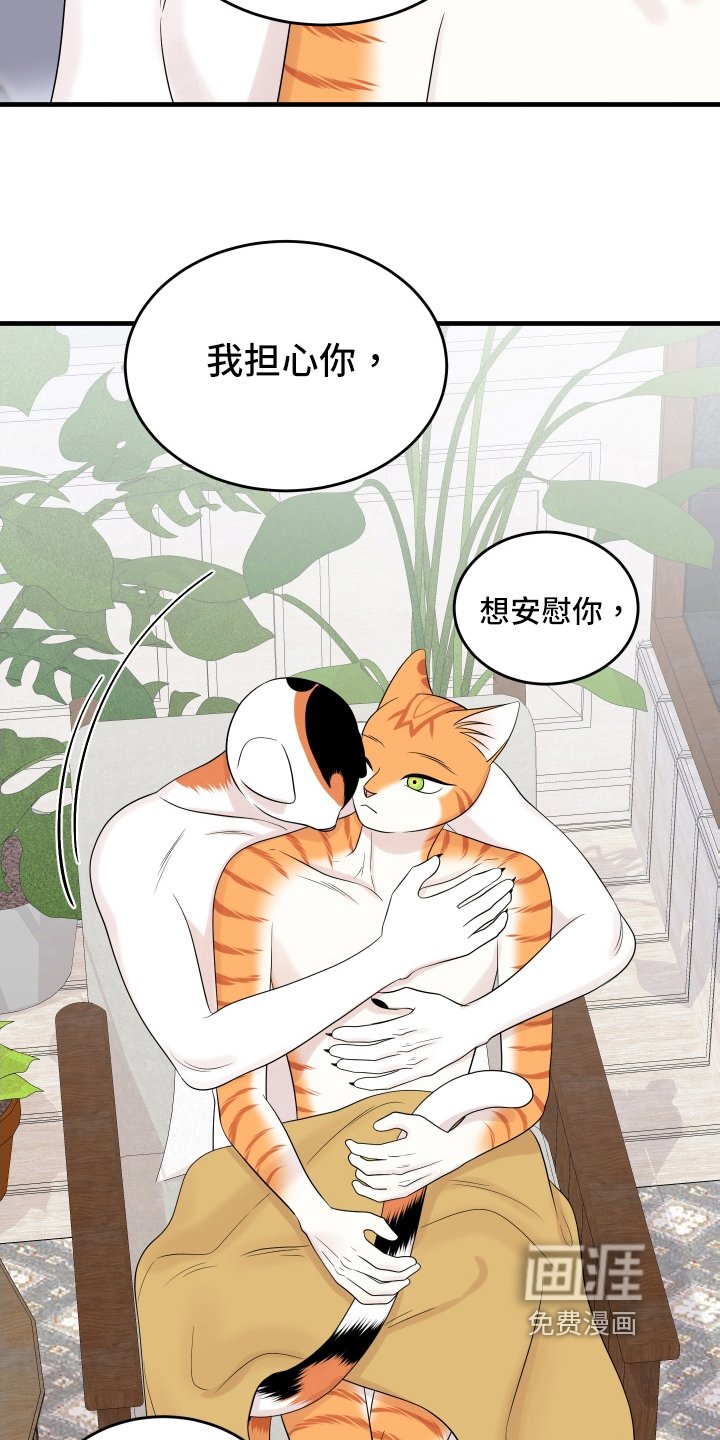第102章：【第二季】求婚