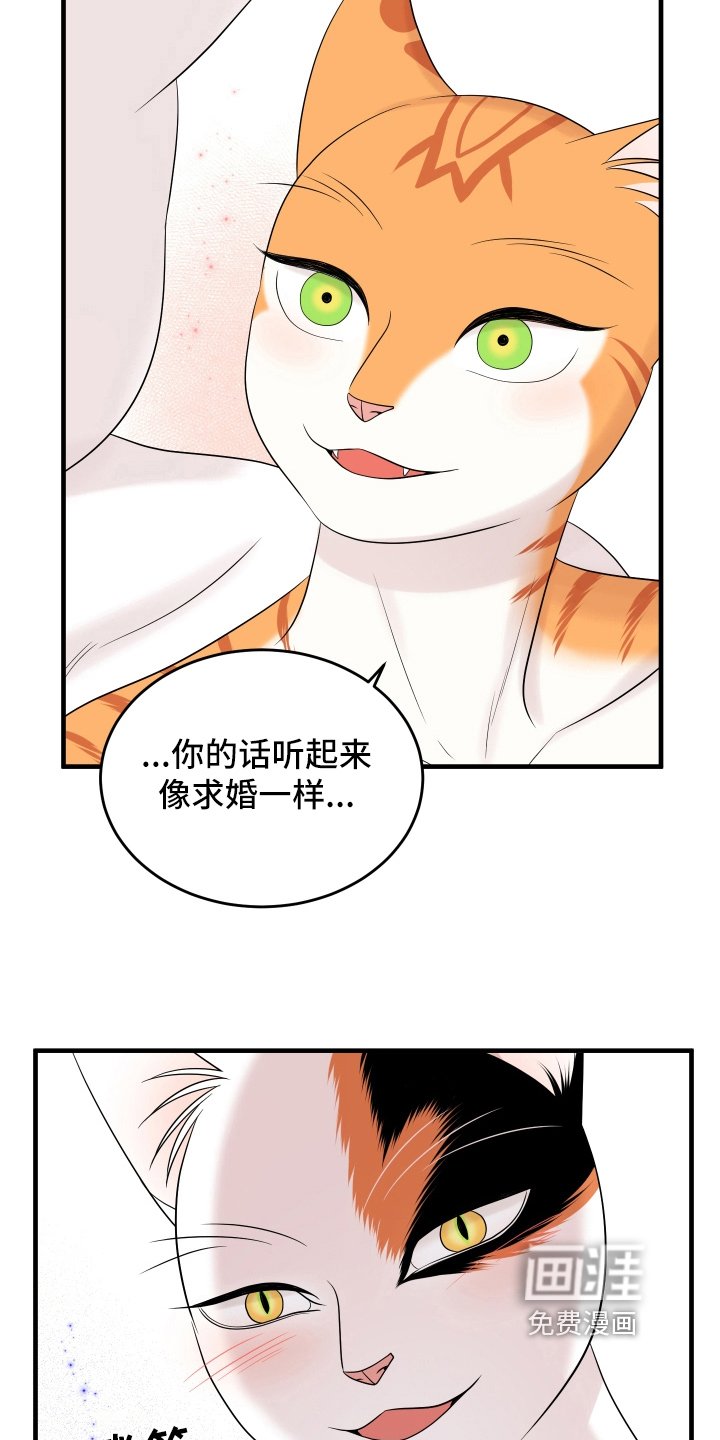 第102章：【第二季】求婚