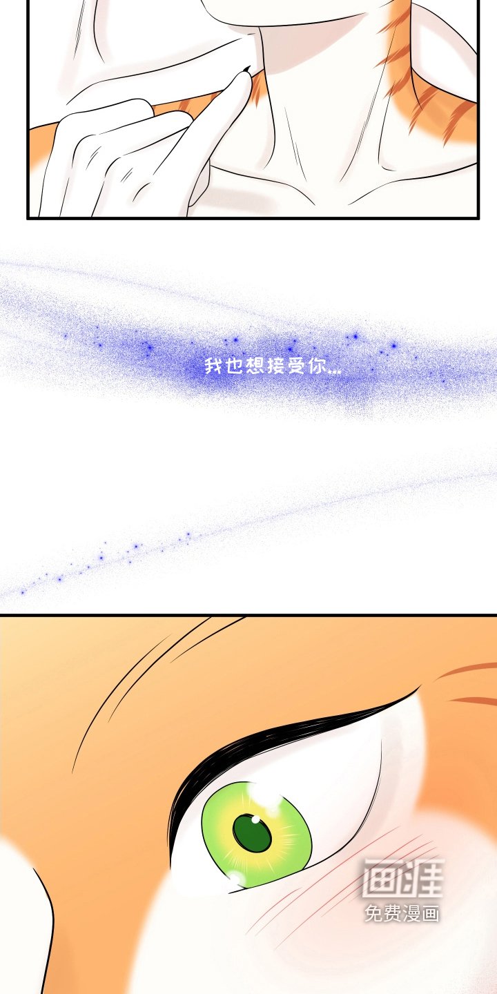 第102章：【第二季】求婚