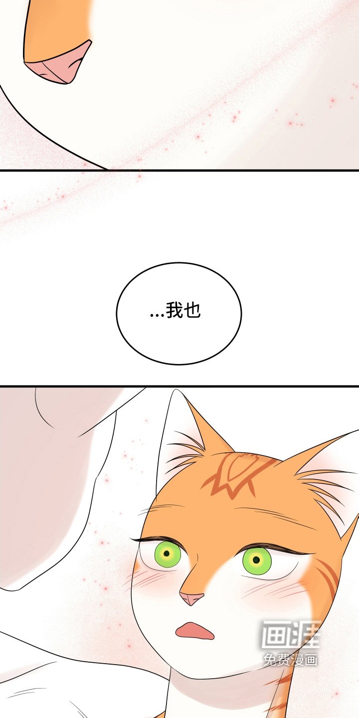 第102章：【第二季】求婚