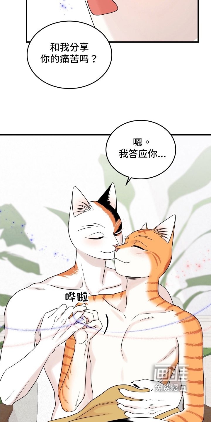 第102章：【第二季】求婚