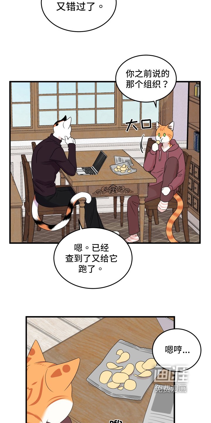 第103章：【第二季】单纯