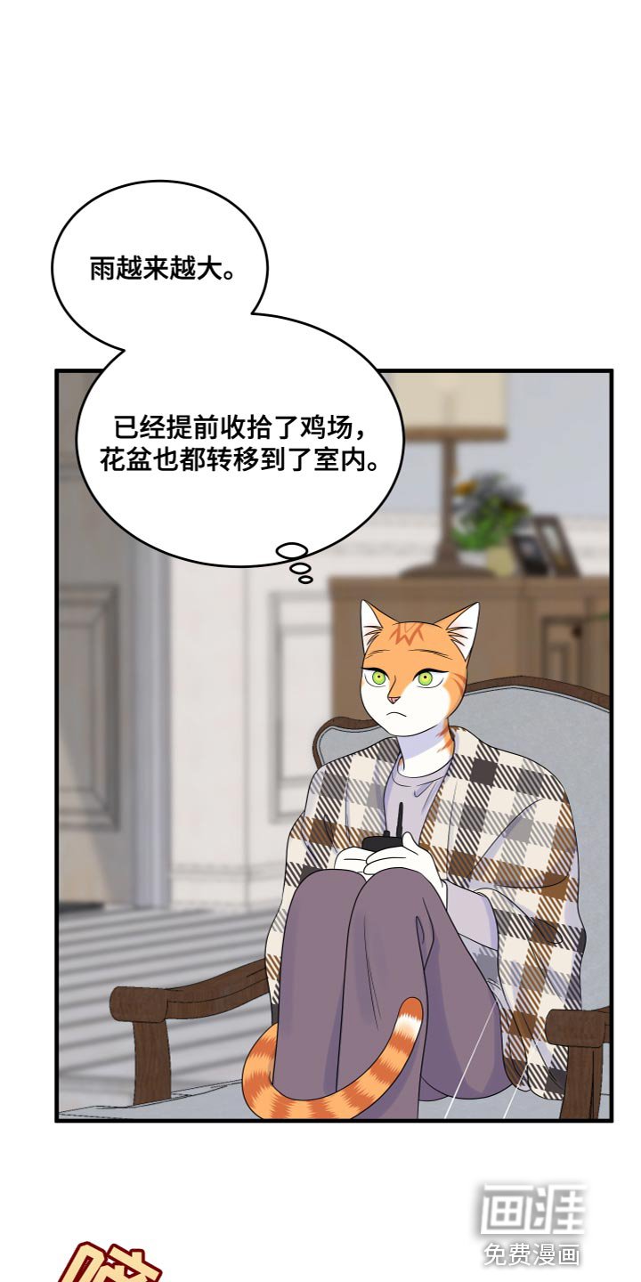 第105章：【第二季】我要回岛上