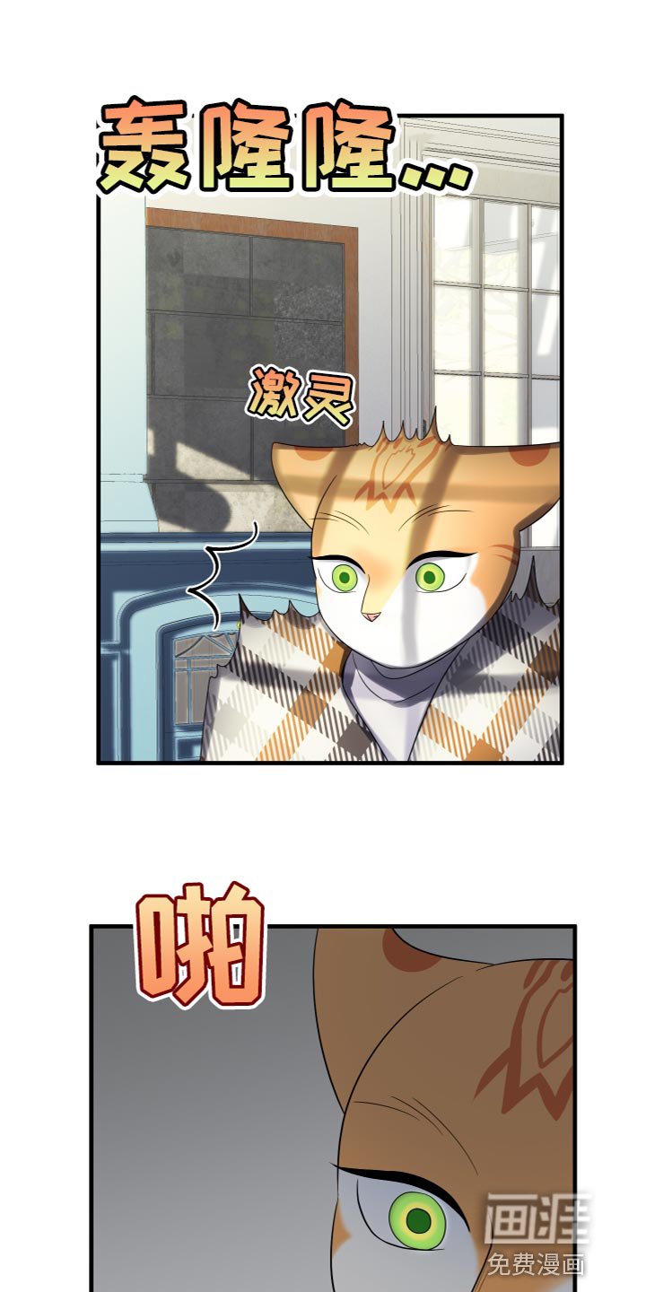 第105章：【第二季】我要回岛上
