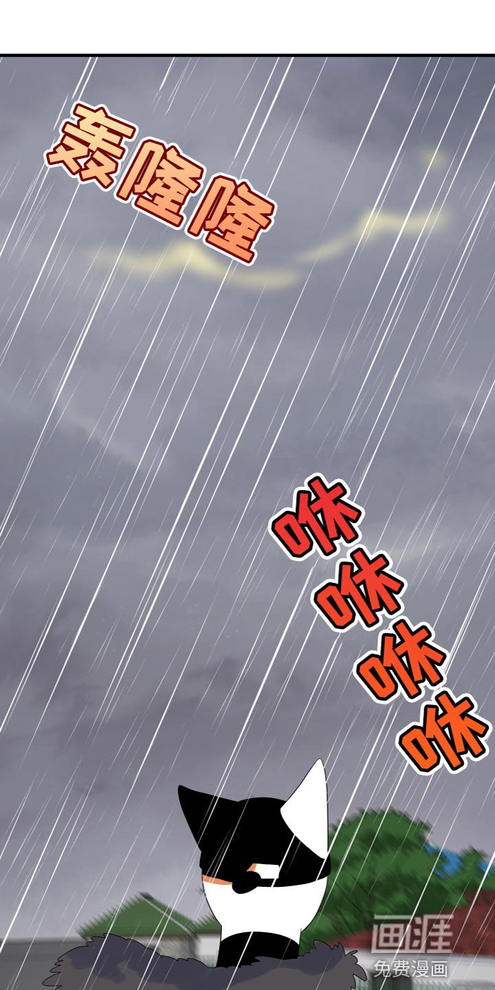 第105章：【第二季】我要回岛上