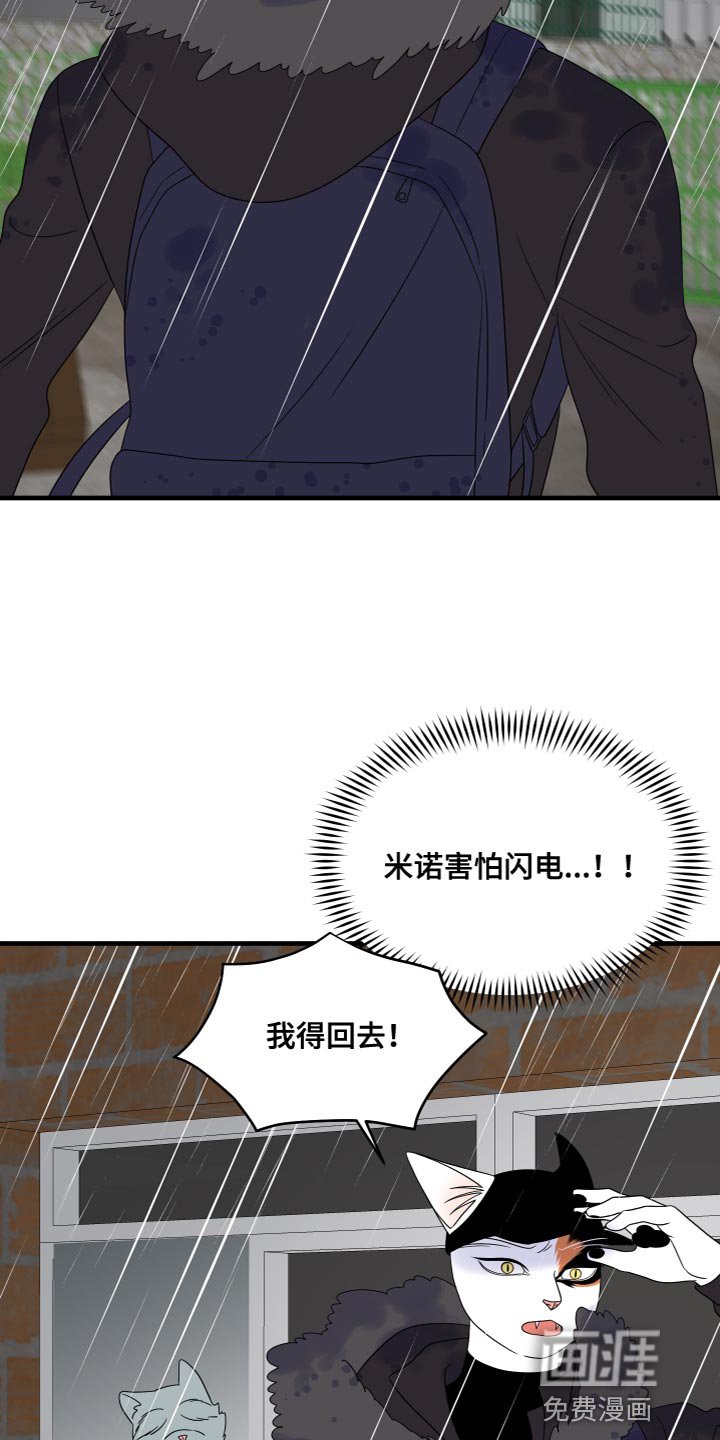 第105章：【第二季】我要回岛上