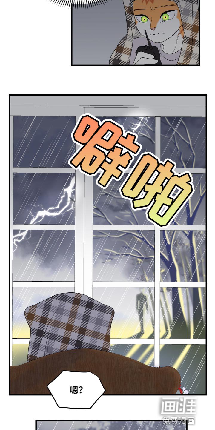 第106章：【第二季完结】该回家了