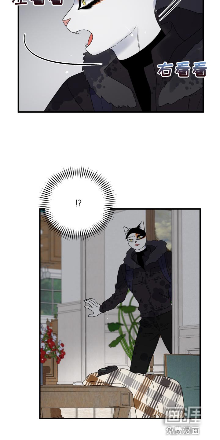 第106章：【第二季完结】该回家了
