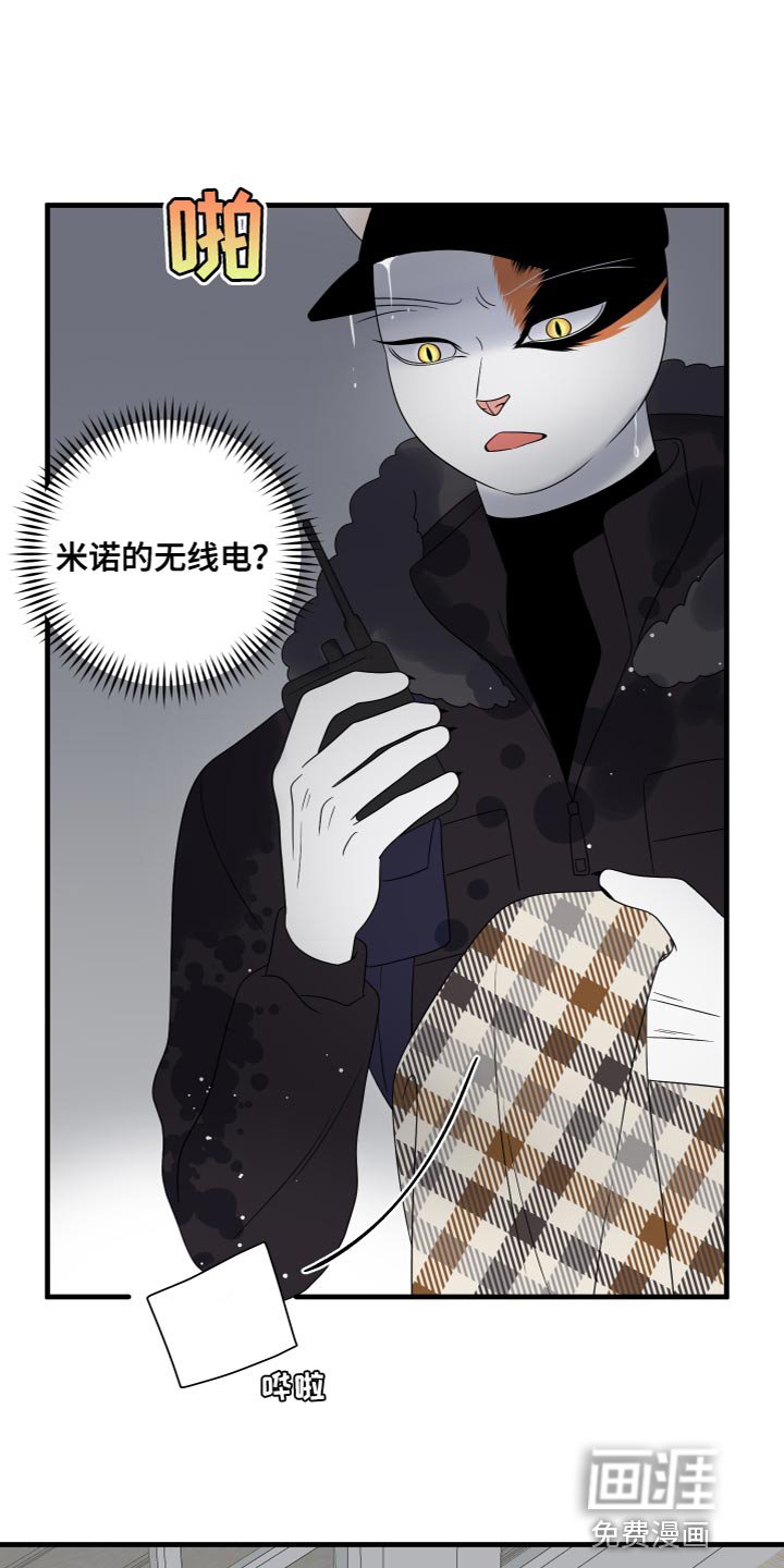 第106章：【第二季完结】该回家了