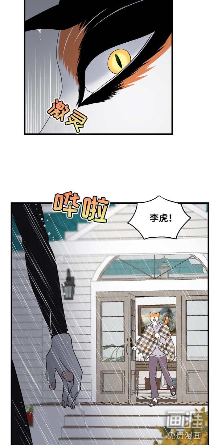 第106章：【第二季完结】该回家了