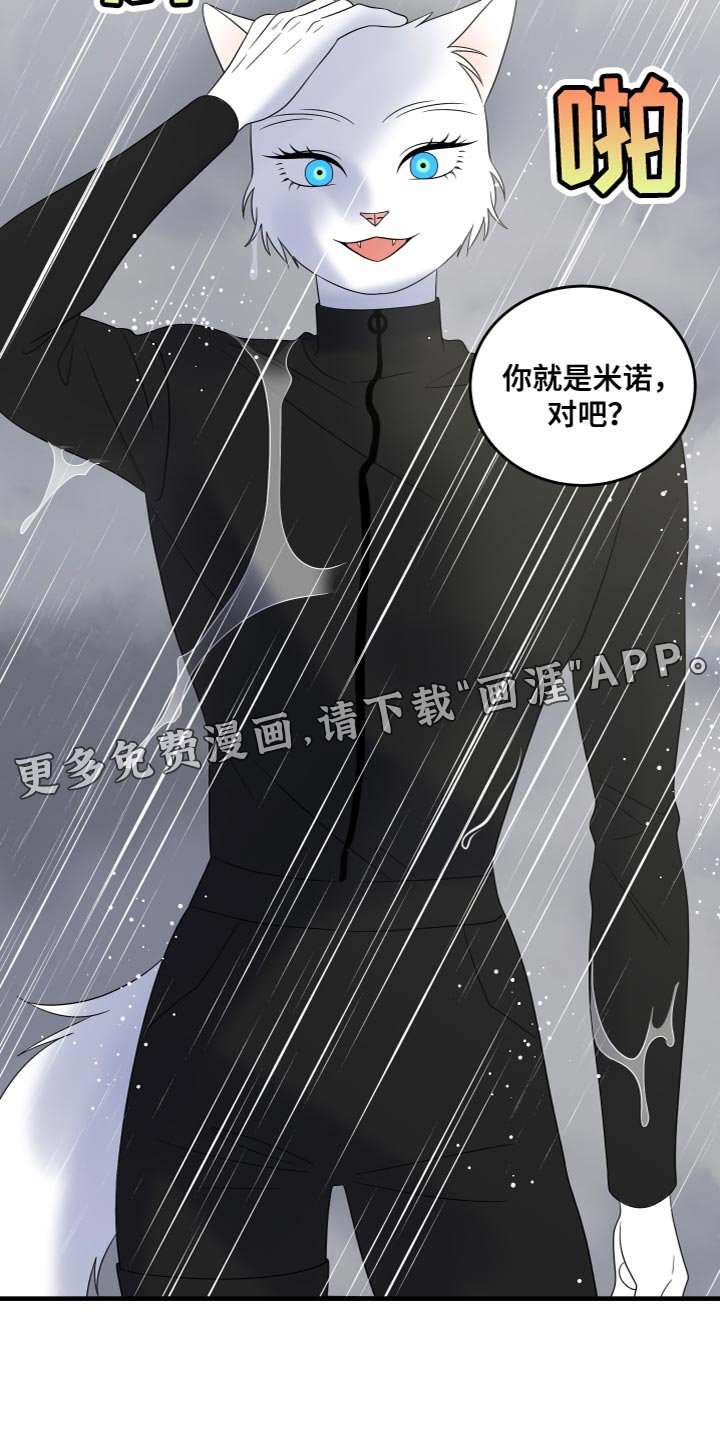 第106章：【第二季完结】该回家了