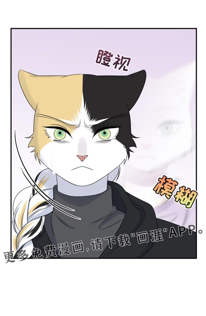 第107章：【第三季】求救