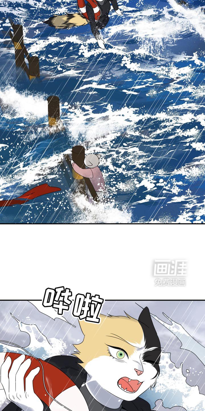 第108章：【第三季】危险