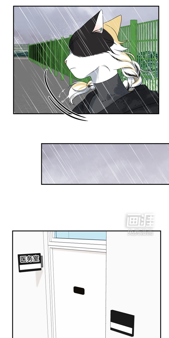 第109章：【第二季】处理伤口