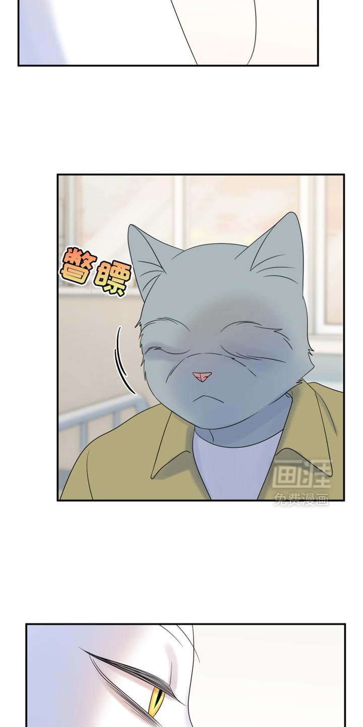 第109章：【第二季】处理伤口