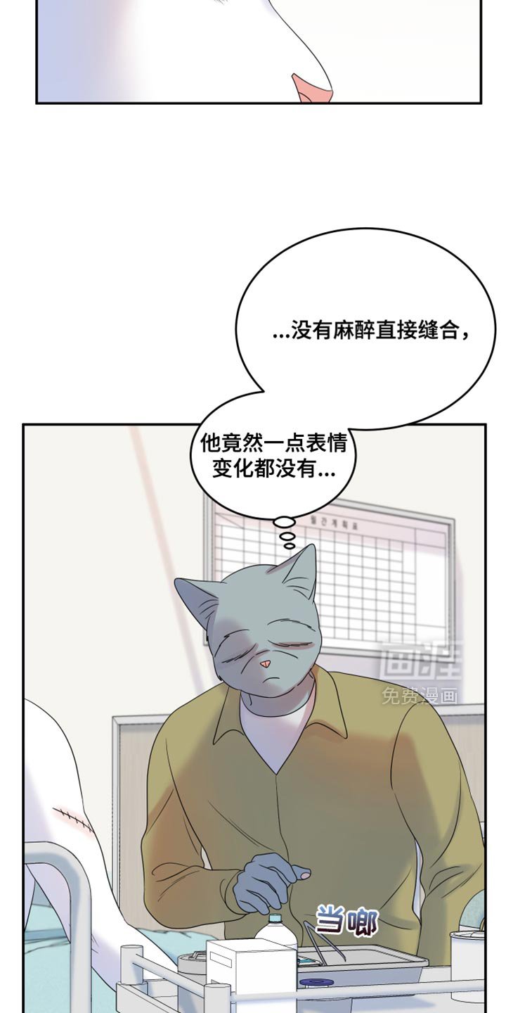 第109章：【第二季】处理伤口