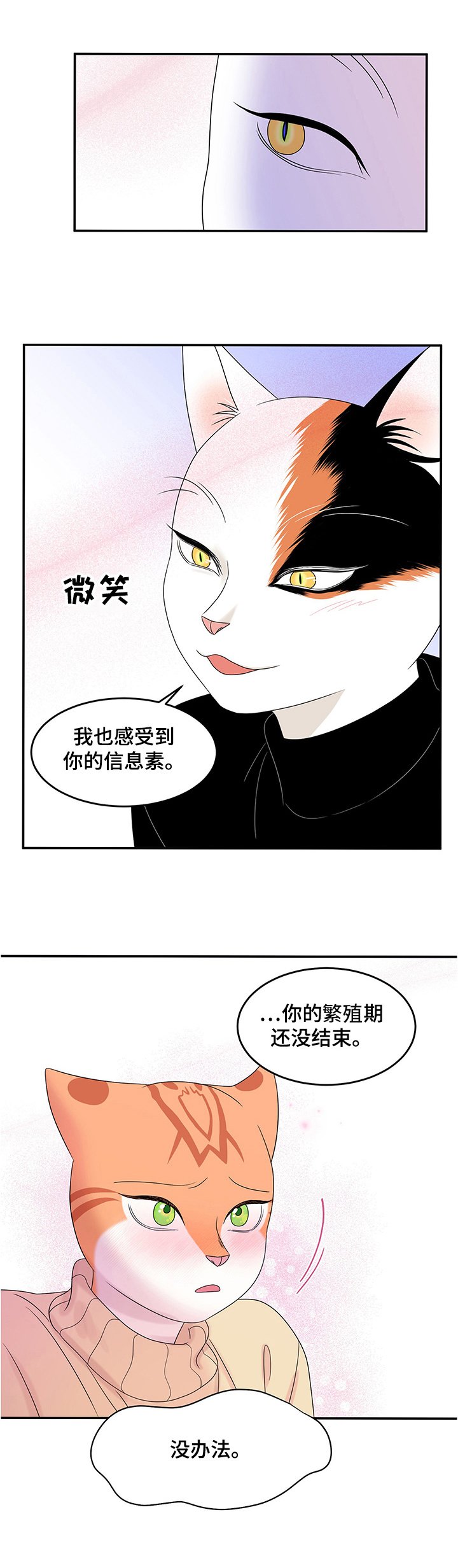 第11章：好辣