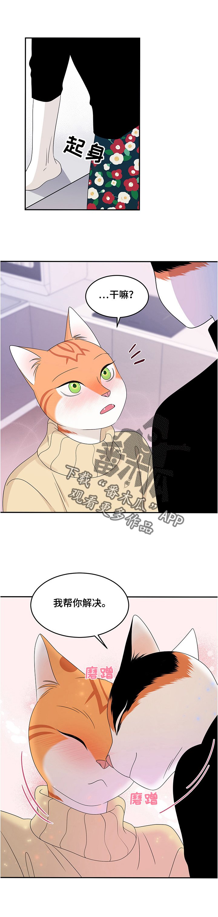 第11章：好辣