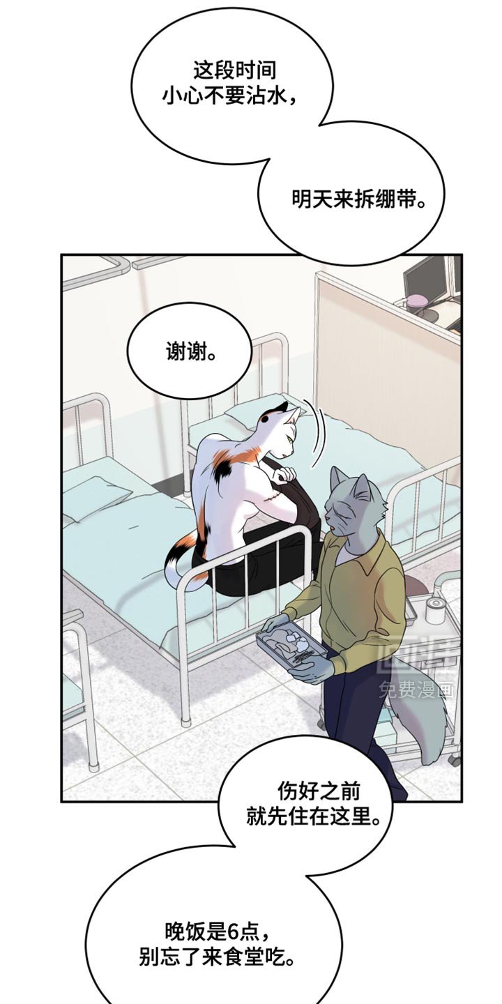 第110章：【第二季】不理解