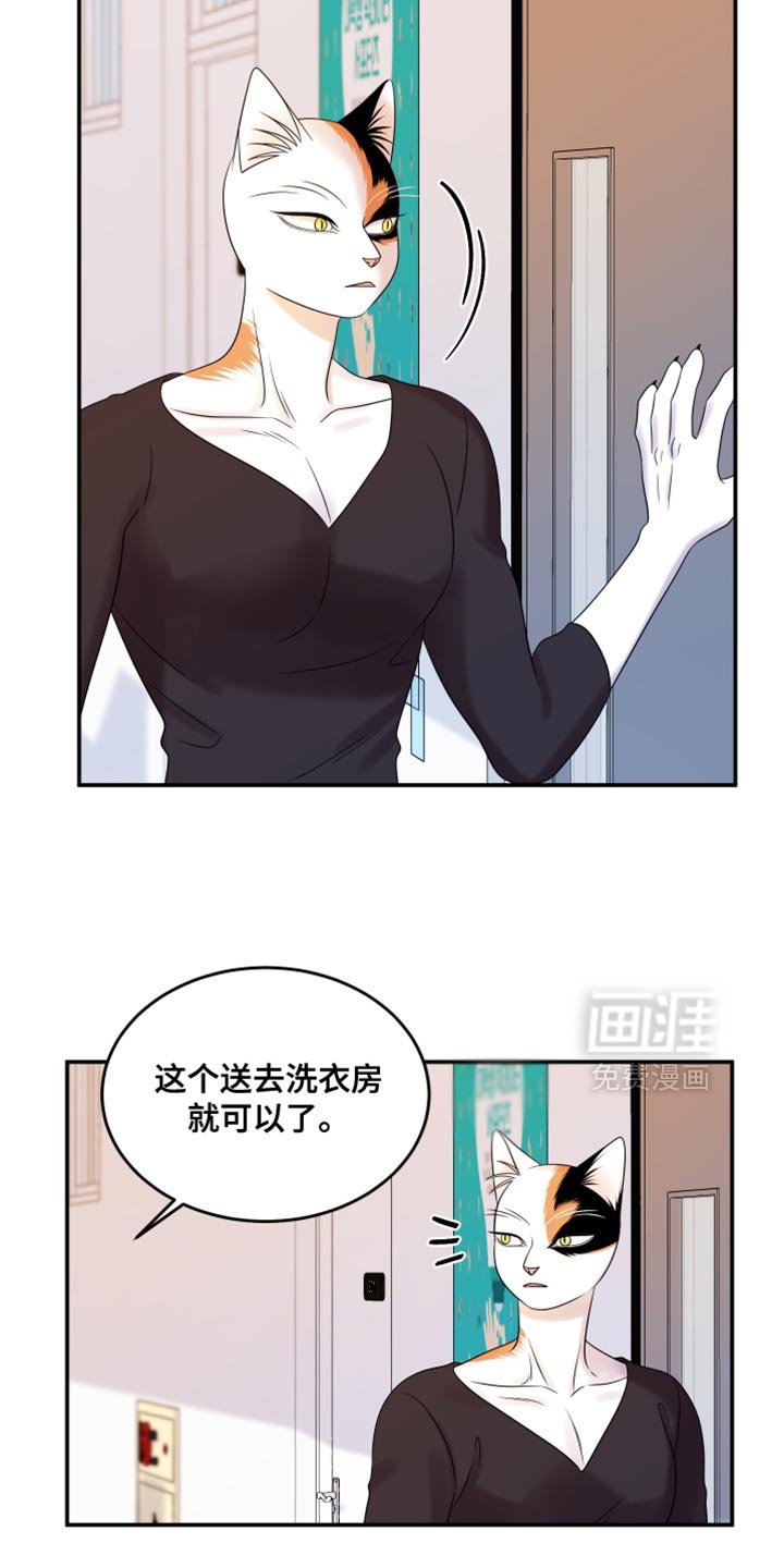 第110章：【第二季】不理解