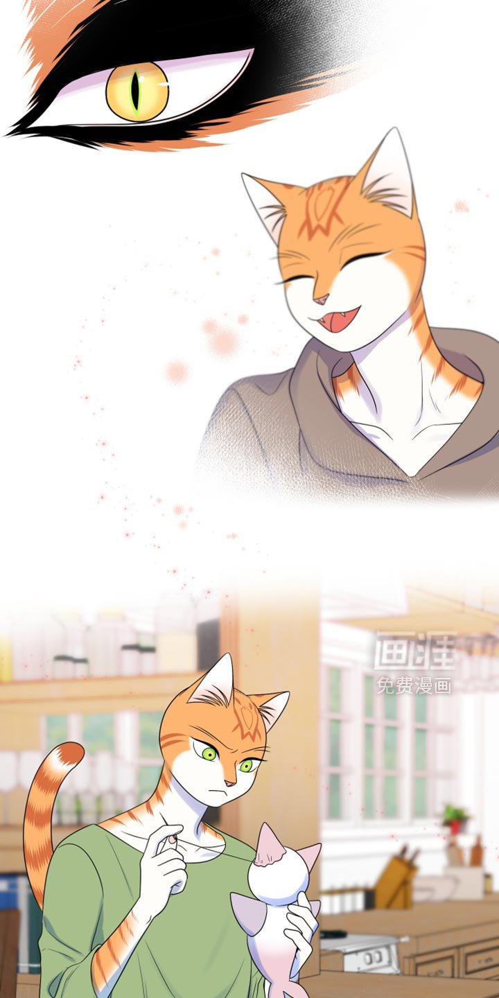 第111章：【第三季】一次机会