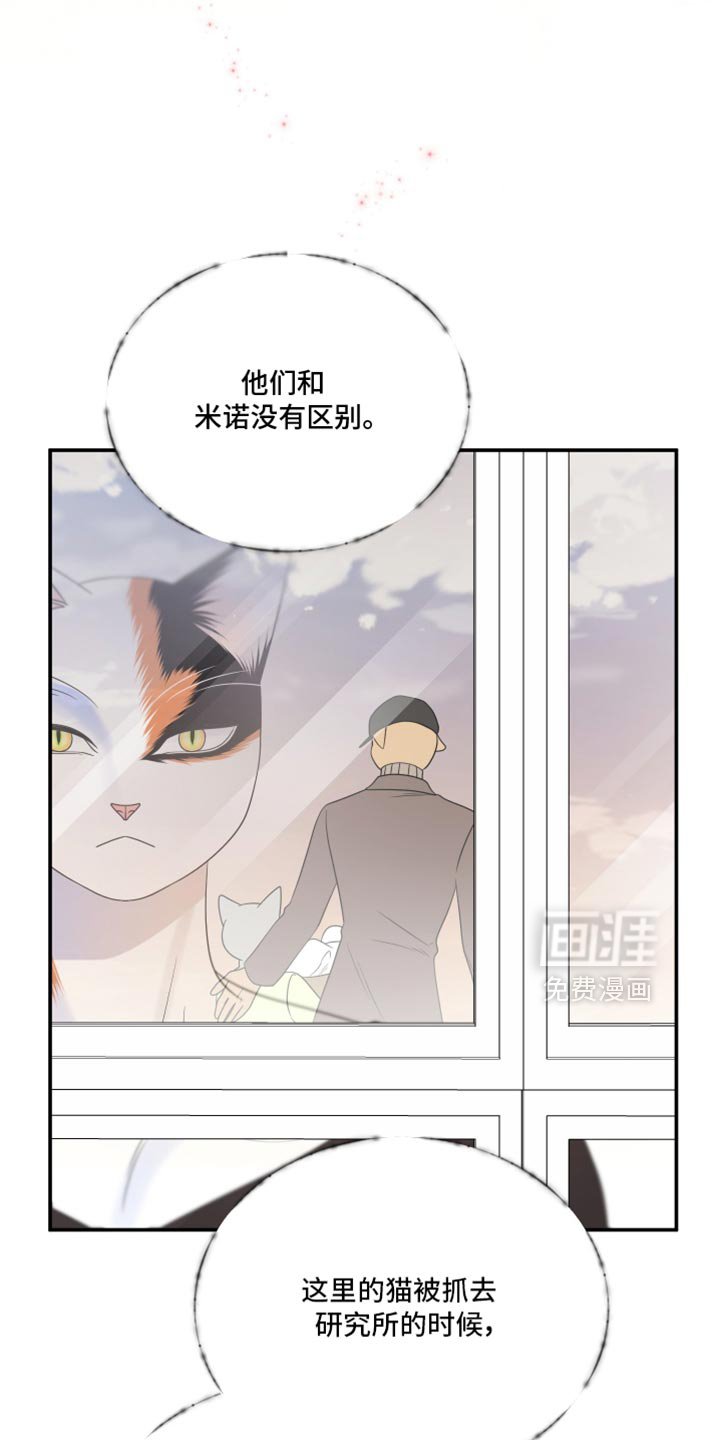 第111章：【第三季】一次机会
