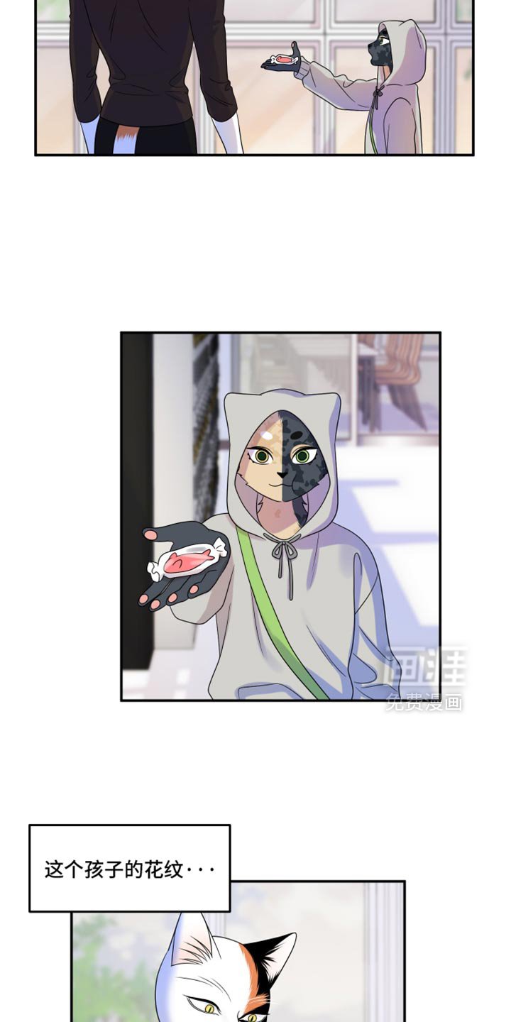 第111章：【第三季】一次机会