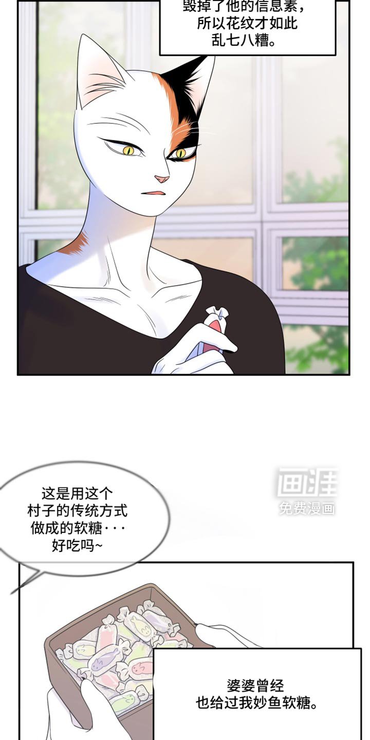 第111章：【第三季】一次机会
