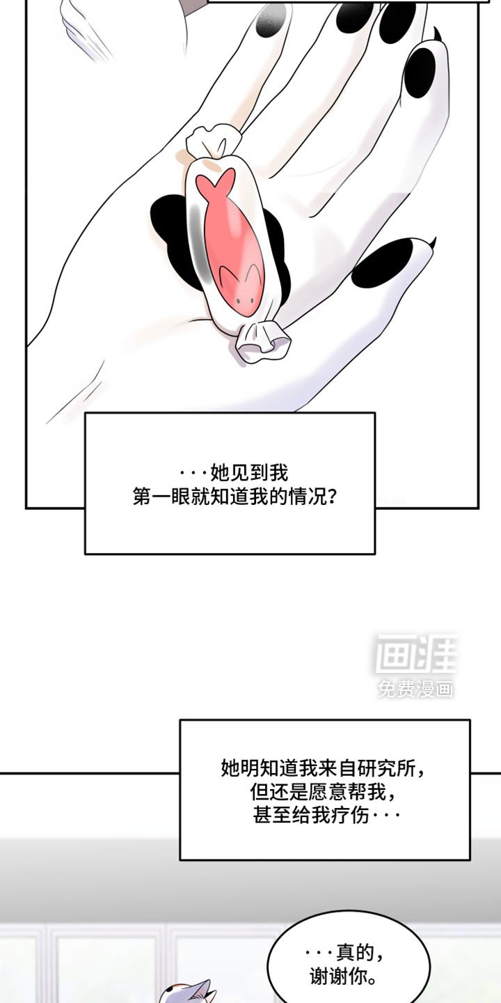 第111章：【第三季】一次机会