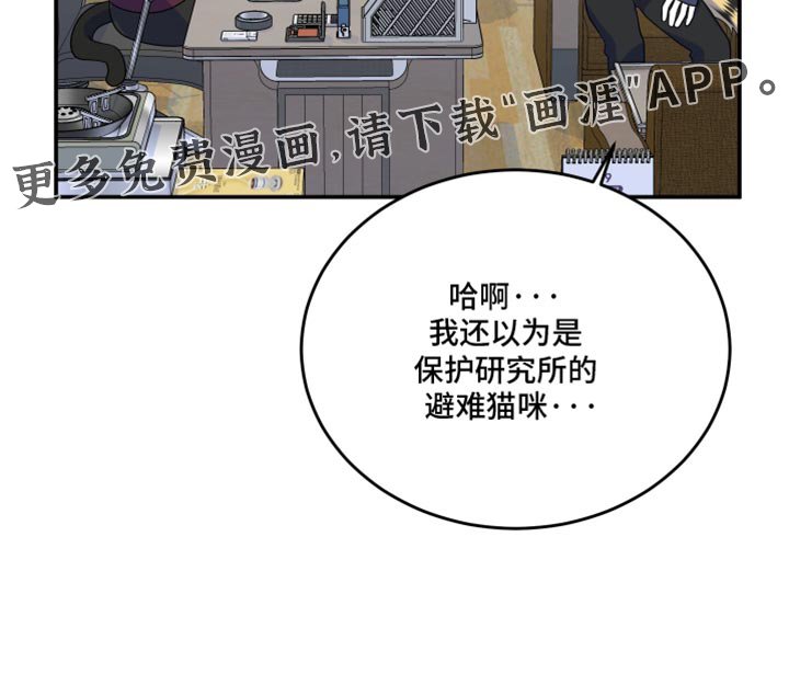 第111章：【第三季】一次机会