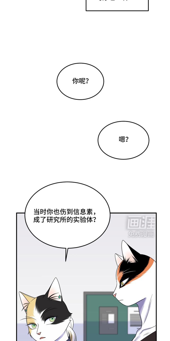 第113章：【第三季】更重要