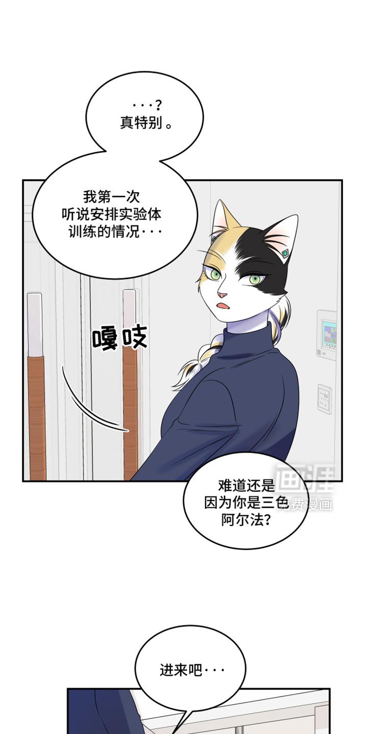 第113章：【第三季】更重要
