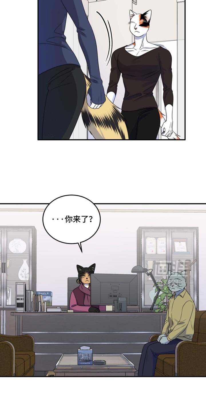 第113章：【第三季】更重要