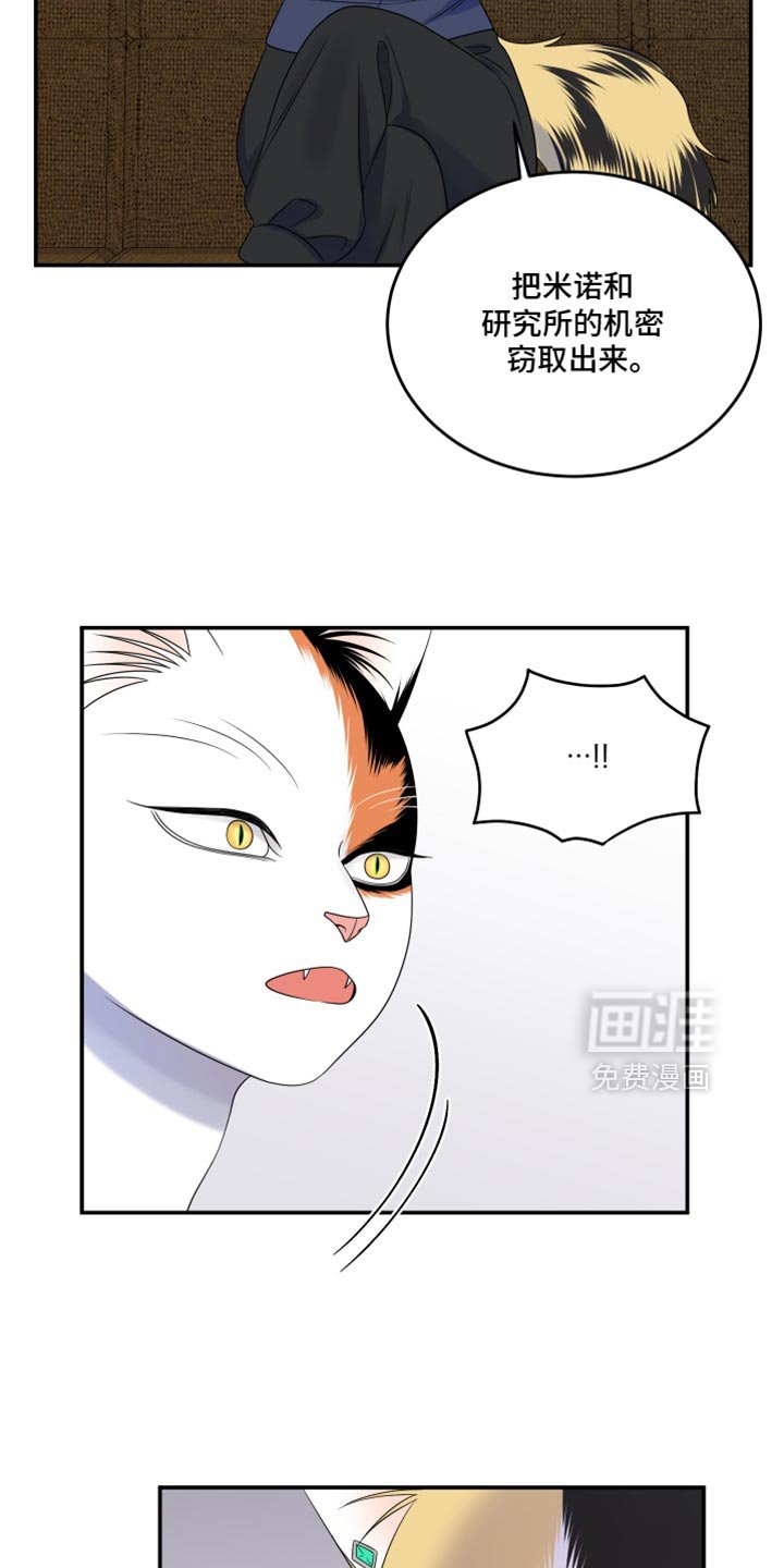 第113章：【第三季】更重要