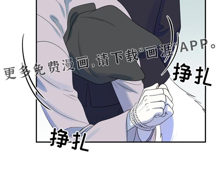 第113章：【第三季】更重要