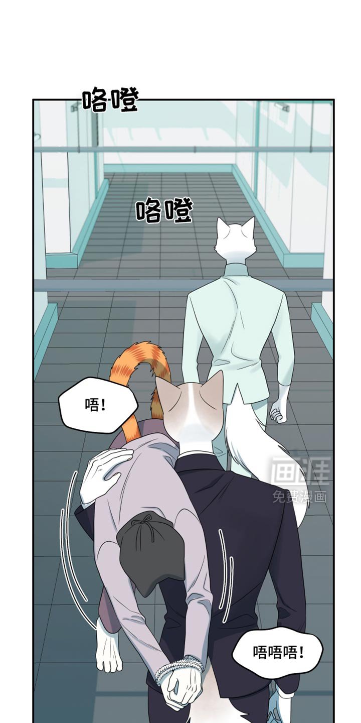第114章：【第三季】请你放过我们！