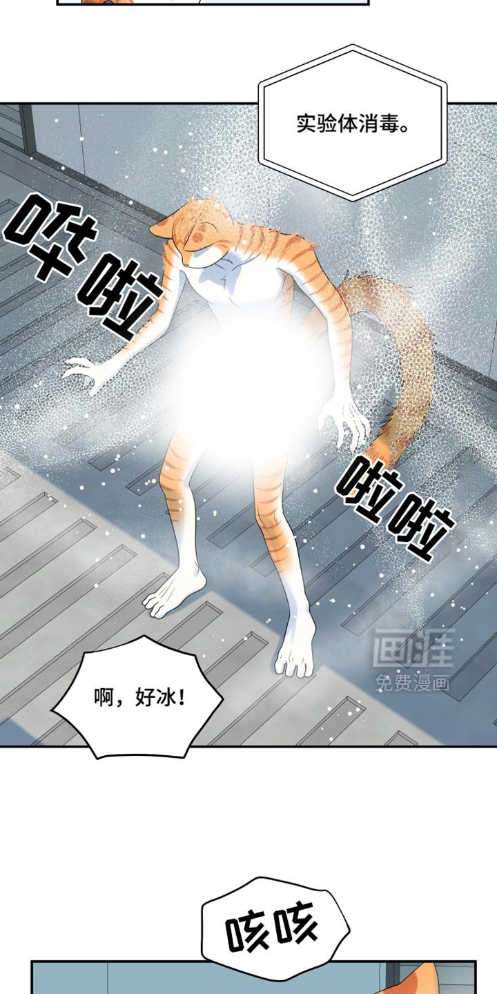 第114章：【第三季】请你放过我们！