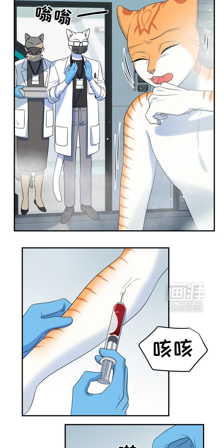 第114章：【第三季】请你放过我们！