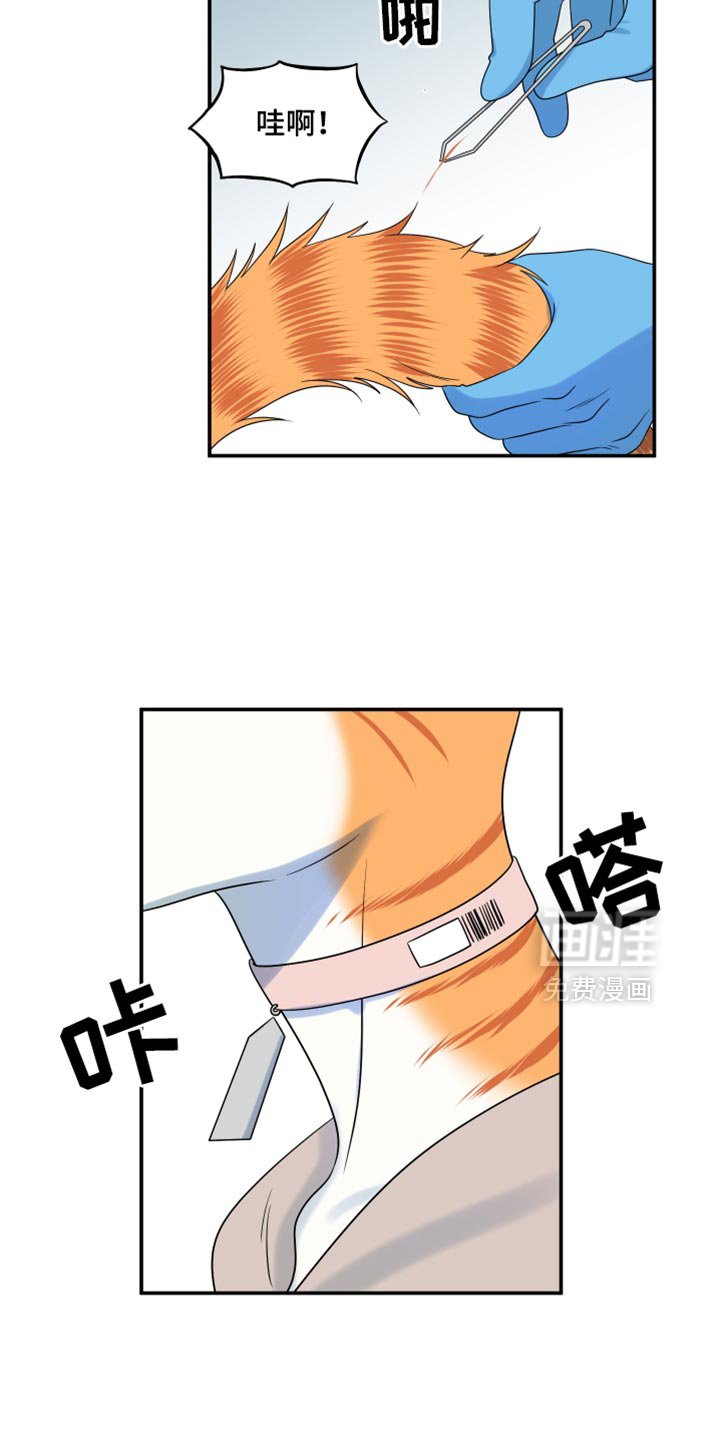 第114章：【第三季】请你放过我们！