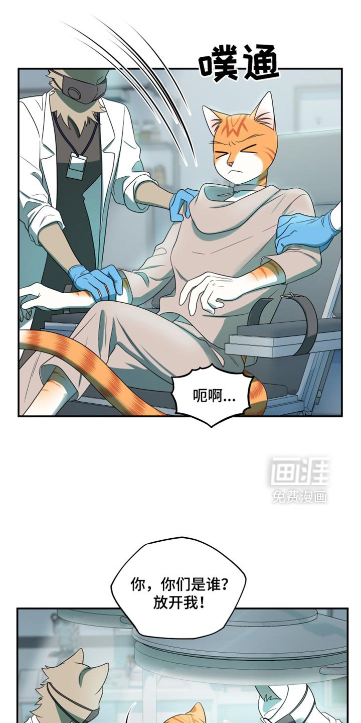 第114章：【第三季】请你放过我们！
