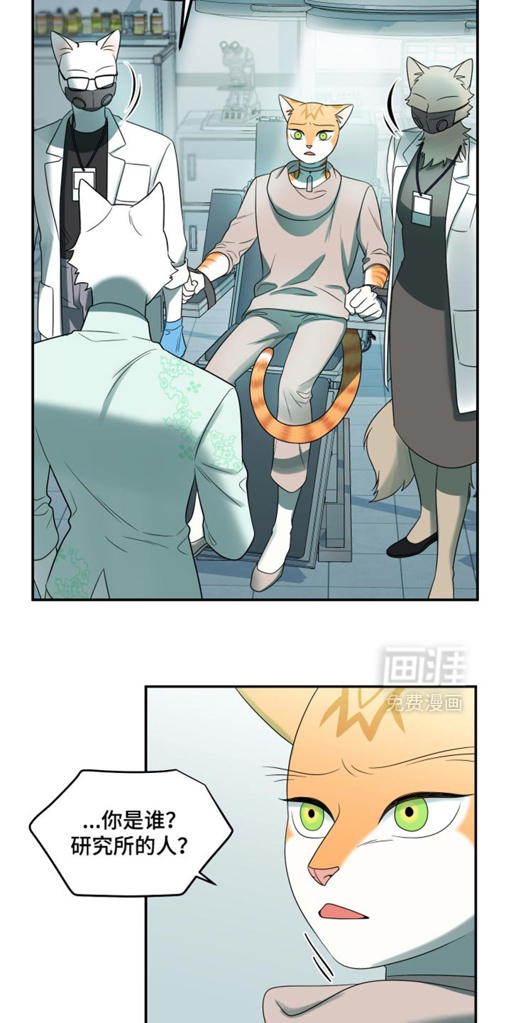第114章：【第三季】请你放过我们！
